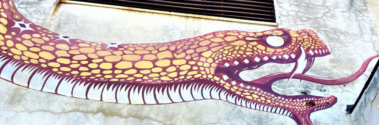 Distrart, la Street Art a Messina