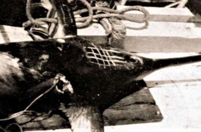 La caccia al pesce spada nello Stretto di Messina