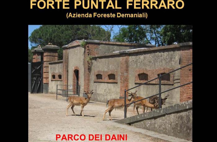 Puntal Ferraro