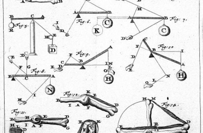 Giovanni Alfonso Borrelli