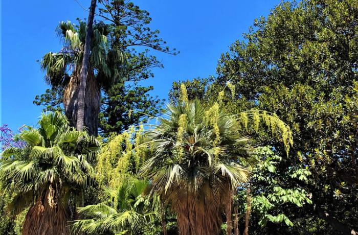 Villa Mazzini - La Villa storica di Messina