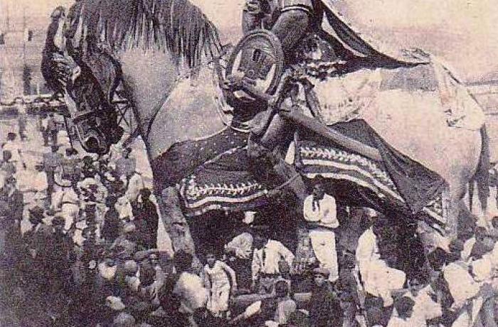 La Passeggiata dei Giganti a Messina  