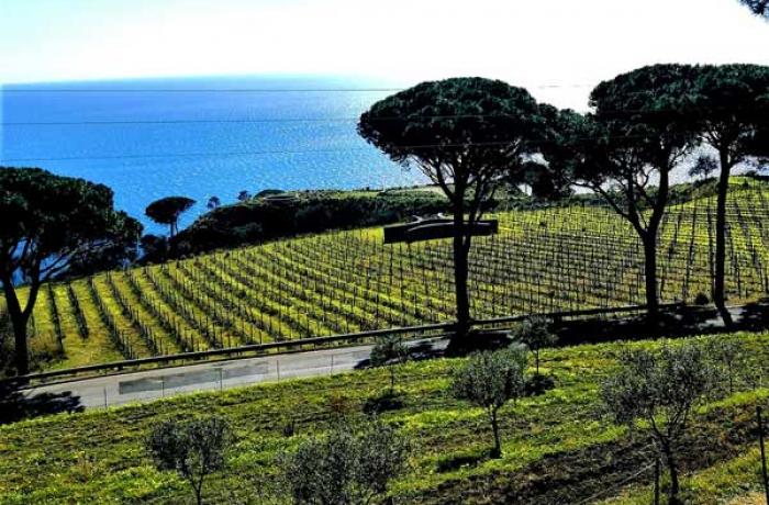 Monastero di San Placido Calonerò a Messina