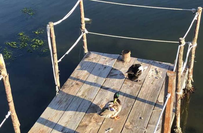 Riviera nord - Messina