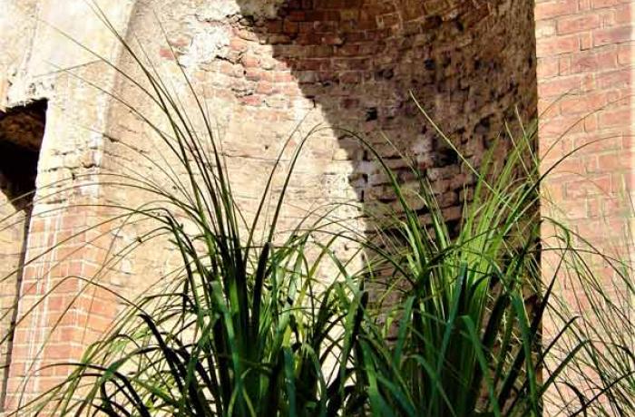 Taormina-Tauromenion