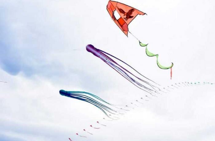 Festival degli Aquiloni di Capo Peloro