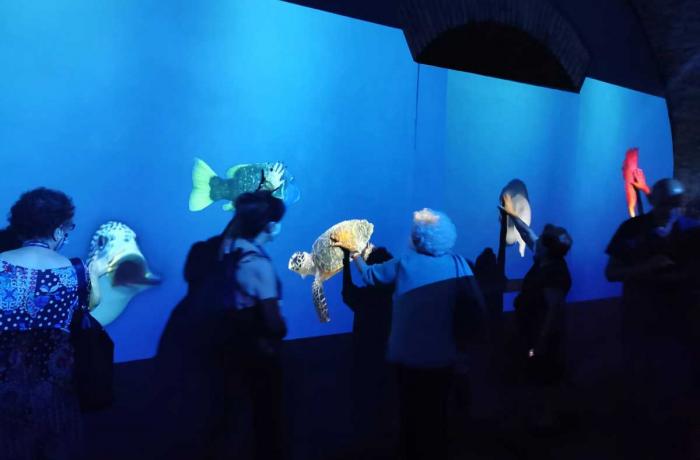 La fauna marina dello Stretto e le migrazioni