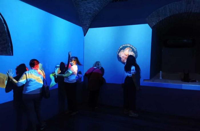 La fauna marina dello Stretto e le migrazioni