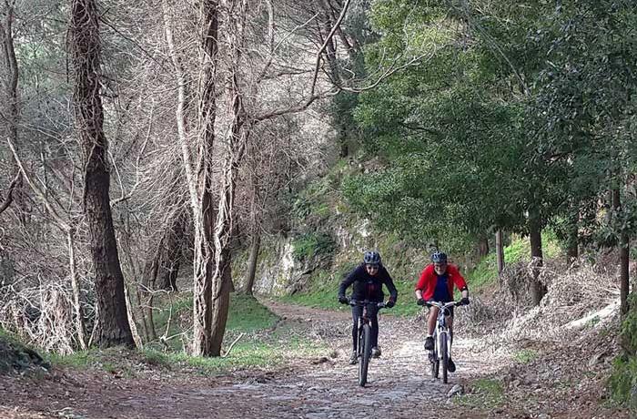 Mountain Bike Messina