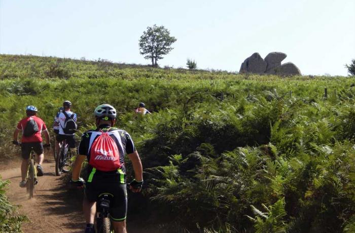 Mountain Bike Messina