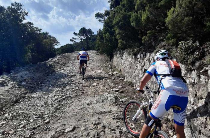 Mountain Bike Messina