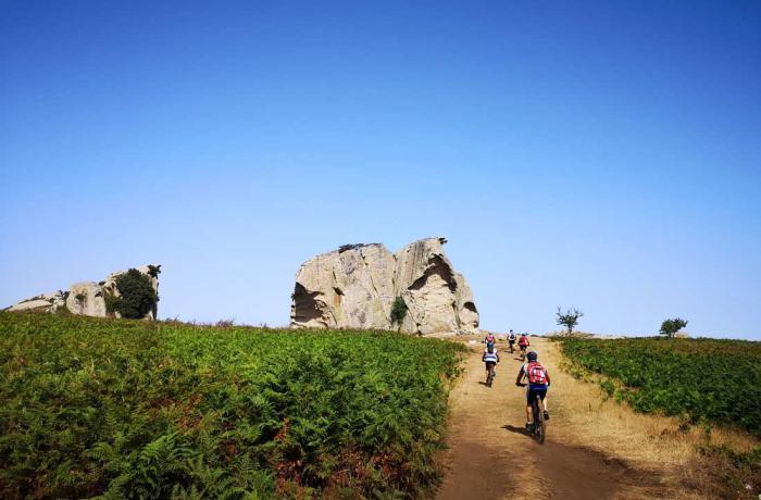 Mountain Bike Messina