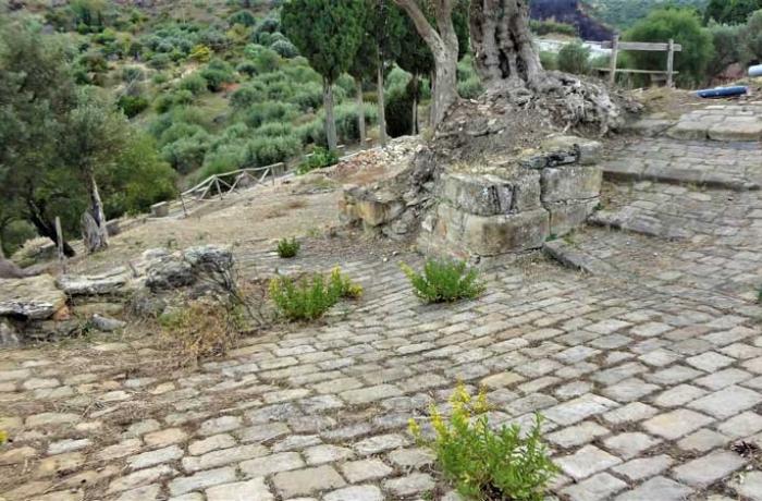 Tusa-Halaesa Archonidea