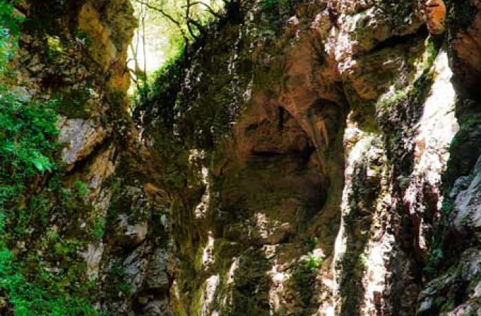 Riserva Naturale Orientata di Fiumedinisi e Monte Scuderi