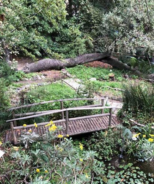 Orto botanico Messina