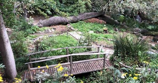 Orto botanico Messina
