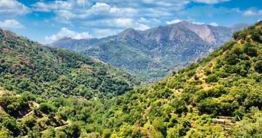 Riserva Naturale Orientata di Fiumedinisi e Monte Scuderi